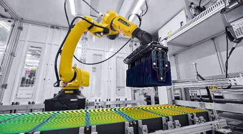 實探晶科能源尖山超級工廠 鑄就穿越周期核心競爭力 智能化規(guī)模生產成制勝法寶